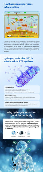 3000ML Hydrogen Inhalation Machine Home Use Hydrogen Oxygen Generator Water Ionizer H2 Molecular Inhalator CE Certificated