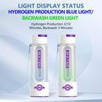 Hydrogen Rich Water Generator Bottle Spe Pem Dual Chamber Maker Ionizer Make High Concentration Hydrogen H2 Inhalation Device