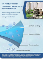 Intelligenter Heimgebrauch-Wasserstoffgenerator mit Direktabsaugung, Einfach zu Bedienen, mit Nasensaugrohr, 900-1800ml/min